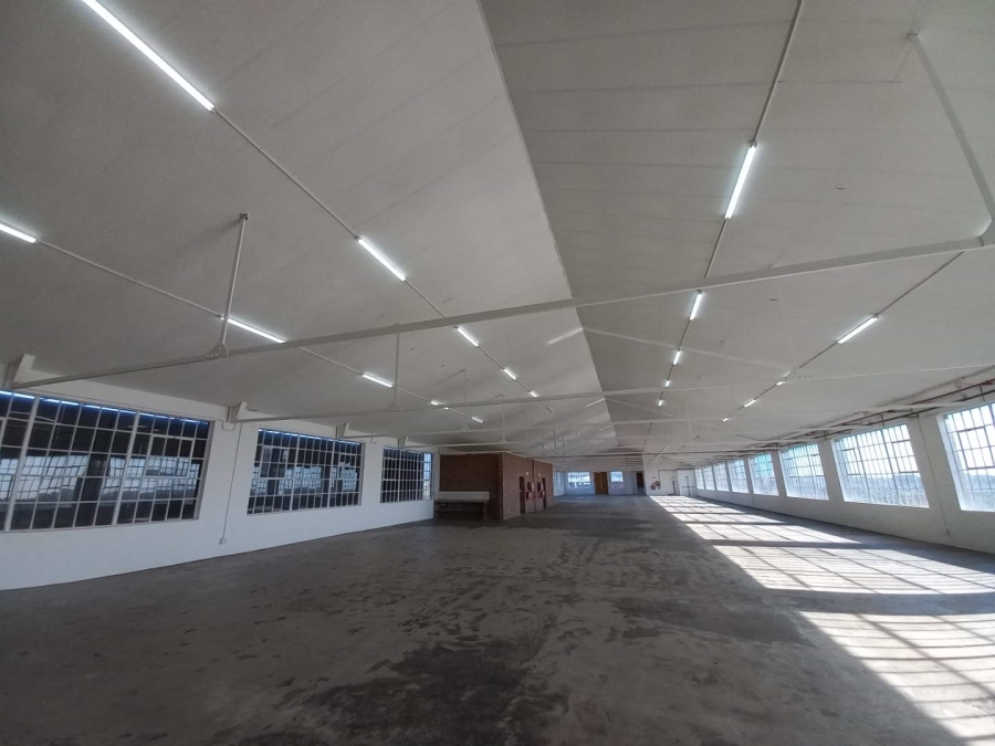 To Let commercial Property for Rent in Diep River Western Cape